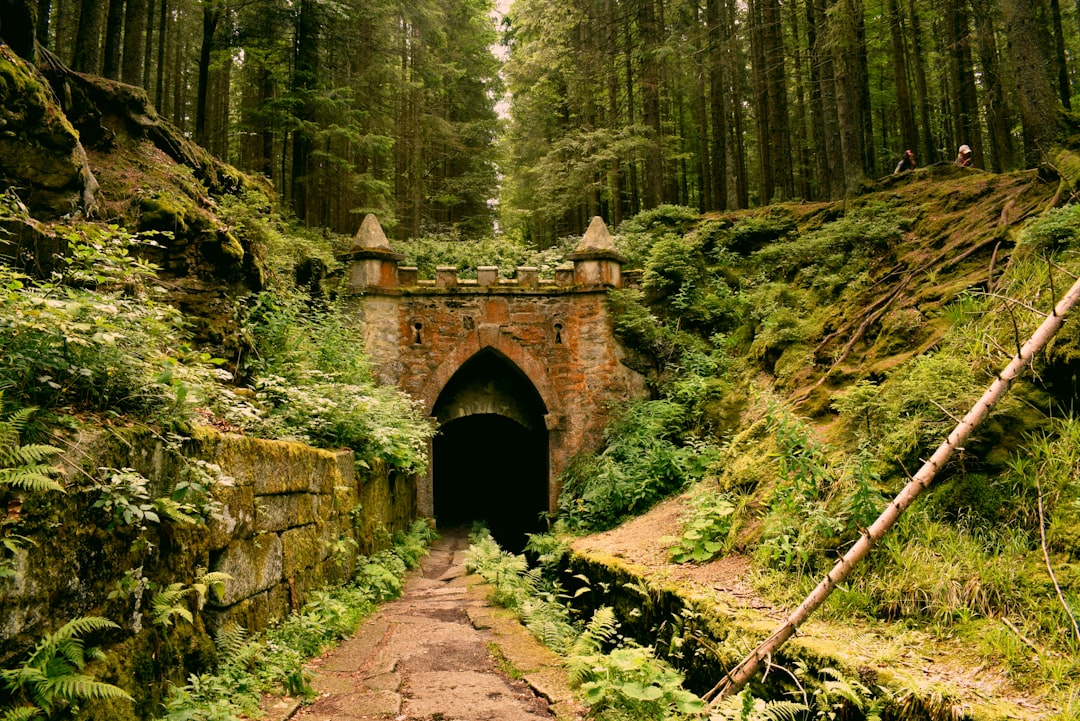 Create Unique Halfling Names with Our Generator